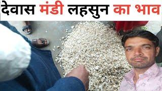 देवास मंडी लहसुन का भाव |Dewas Mandi lahsun ka bhav 👍