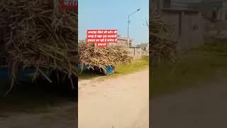 #viralvideo #viralreels #अमरोहा उत्तर प्रदेश में ये इमारत कहा बन रही हैं