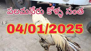 పలమనేరు కోళ్ళ సంత 04/01/2025 నాటు కోళ్ళ