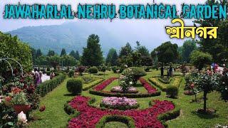 Jawaharlal Nehru Botanical Garden Srinagar | Mughal Garden | Kashmir Tour in May June 2024