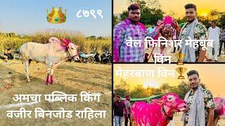 मोहो पनवेल बिनजोड चे मैदान नाद एकच बैलगाडा शर्यत 👑🔥