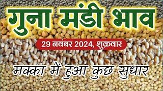 शुक्रवार का गुना मंडी भाव सोयाबीन मक्का गेहूं धनिया | Guna Mandi rate soyabean makka 29 Nov. 2024