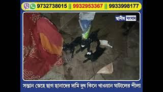 সন্তান স্নেহে ছাগ ছানাদের দামি দুধ কিনে খাওয়ান ঘাটালের শীলা