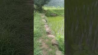 Jammu and Kashmir district rajouri Village Rehan