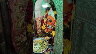 जय मां हरसिद्धि देवी मंदिर रानगिर सागर मध्य प्रदेश 🌺 प्रातः मंगला श्रंगार आरती दर्शन 🌺 06/01/2025