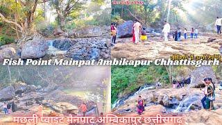 Fish point mainpat ambikapur Chhattisgarh | मछली प्वाइंट मैनपाट अम्बिकापुर छत्तीसगढ़