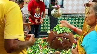 Gaibinath Temple Brisingpur|गैबी नाथ मंदिर बिरसिंहपुर जिला सतना |विंध्य क्षेत्र का ऐतिहासिक मंदिर