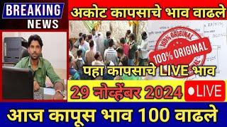 🔴29 नोव्हेंबर 2024 अकोट कापूस भाव 200 वाढले| कापुस बाजार भाव आजचे|Kapus Bhav Today