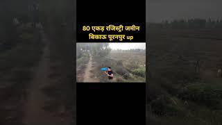 80 एकड़ रजिस्ट्री जमीन बिकाऊ पूरनपुर up