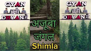 शिमला का Shortcut रास्ता पड़ा महंगा । Shimla Shortcut Rasta।