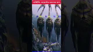 দার্জিলিং ফরেস্টের ভয়ংকর রূপ