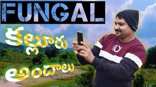 Fungal.! కల్లూరు అందాలు subscribe