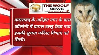 खरगोन, कसरावद, घायल उल्लू की सूचना पर फॉरेस्ट विभाग पहुंचा मौके पर...