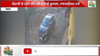 मंडला - बेहरमी से स्ट्रीट डॉग को कार से कुचला, एफआईआर दर्ज    #Vande Bharat News