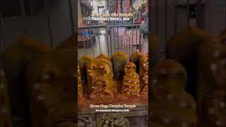 shree naga devatha temple secunderabad status|श्री नाग देवता मंदिर सिकंदराबाद दिव्यदर्शन|