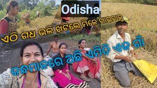 କନ୍ଧମାଳ ଚାଷୀର ଦୁଖଭରା ଜୀବନ// sadlife of farmer (kui tribes)// taravlogs