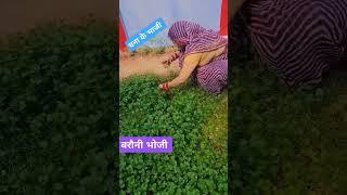 जबलपुर घूमे अकेली ##sorts #video #