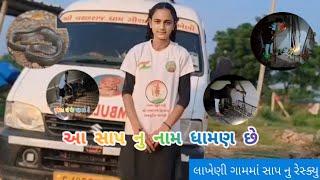 ધામણ સાપ બિનઝેરી હોય છે | બોટાદ જીલ્લાના લાખેણી ગામમા સાપ નીકળતા રેસ્ક્યુ કરયુ | જય વછરાજ દાદા |