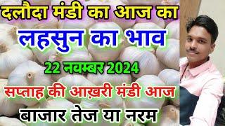 दलौदा मंडी का आज का लहसुन का भाव 22 नवम्बर 2024 |garlic rate today daloda Mandi