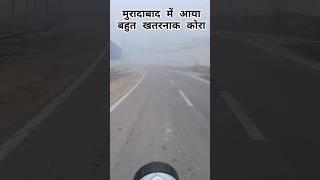 मुरादाबाद में आया बहुत खतरनाक कोरा  😱😰🥶😳