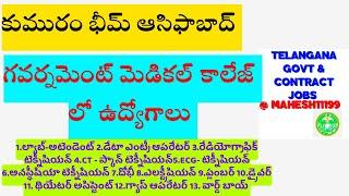 కుమురం భీమ్ ఆసిఫాబాద్- గవర్నమెంట్ మెడికల్ కాలేజ్ లో ఉద్యోగాలు | జోన్ 1 అందరూ అప్లై చేసుకోవచ్చు