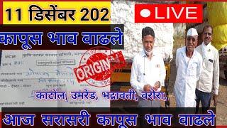 ⭕11 डिसेंबर 2024| सावनेर कापूस बाजार भाव आजचे|kapus bajar bhav today