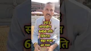 20 नवम्बर 2024 सोयाबीन भाव #shorts #ytshorts #trending #youtubeshorts #mandibhav | बड़नगर मंडी भाव