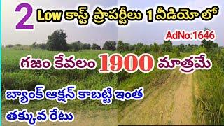 కేవలం 60లక్షలకే 3387గజాల పెద్ద స్థలం బ్యాంక్ వేలంలో ఆమ్మకం | తాడికొండ ప్రైమ్ లొకేషన్లో గజం 1900లకే