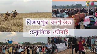 গোৱালপাৰা জিলাৰ বিজয়পুৰ বনগাঁওত  চেকুৰিছে ঘোৰাই।