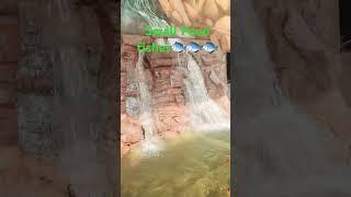 Ormanjhi outdoor koi pond fishes 🐟 😍 ♥️ #viralshort #ytshorts #pond fishes