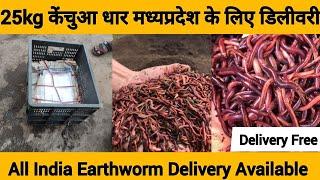 धार मध्यप्रदेश केंचुआ डिलीवरी शिवशक्ति ऑर्गेनिक्स इंदौर || WORMS SAFE DELIVERY ALL INDIA BY SSO