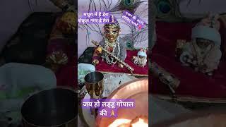 मथुरा में न है डेरा |🙏😊 ##krishna #laddu#bhog# bhajan#status# short#viral#🌺vedio#youtube# 😊🙏🌺