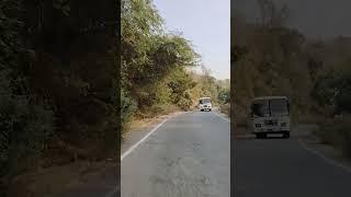 केवड़े का जंगल झीलों री नगरी उदयपुर राजस्थान