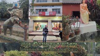 নানুর র্কীণাহার সড়ক ফাইকাস. Nanoor kirnahar road Ficus