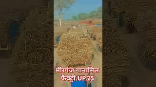 मीरगंज गानामिल UP. 25.