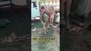 आदासा शंकर पट सावनेर