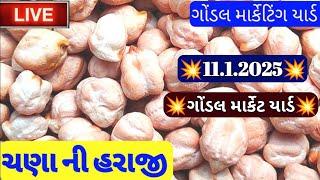 11 January 2025 /ચણા ના આજના બજાર ભાવ /ગોંડલ ચણાના બજાર ભાવ /આજના ગોંડલ માર્કેટિંગ યાર્ડના બજાર ભાવ