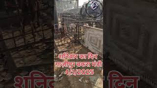 शनिवार का दिन ग़ाज़ीपुर बकरा मंडी 4/1/2025ADGoatzone