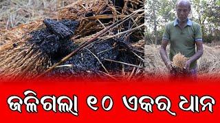 ହୁଦୁ ହୁଦୁ ହୋଇ ଜଳିଗଲା ୧୦ ଏକର ଜମିର ଧାନ ଗଦା | ସୋହେଲା  ବିର୍ଜାମ ଗ୍ରାମର ଘଟଣା |