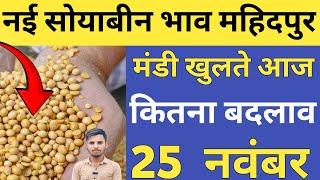 सोयाबीन भाव महिदपुर मंडी| soyabean rate today| soyabean bhav today| gehu ka bhav |25 November