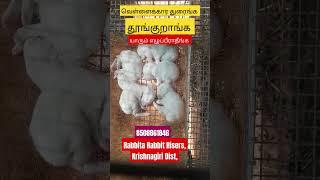 வெள்ளைக்காரதுரைங்க  தூங்குறாங்க.....     Rabbita Rabbit Risers, கிருஷ்ணகிரி மாவட்டம், 8508861846