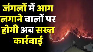 गुमला के जंगलों में आग लगाने वालों पर होगी अब सख्त कार्रवाई | Gumla News | Jharkhand News