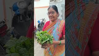 ఉయ్యూరు నుంచి కావల్సినన్ని రకరకాల నార్లు మొక్కలు 1రూ#please_subscribe_my_channel sukanya garden 👍