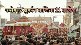 फतेहपुर मुहर्रम ताजिया 11 तारीख | Fatehpur Muharram Taziya 11 tareekh 2024