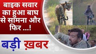 BALAGHAT NEWS :बाइक सवार का हुआ बाघ से सामना और फिर ...! PADMESH NEWS BALAGHAT