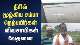 Thiruvarur Rain Updates | நீரில் மூழ்கிய சம்பா நெற்பயிர்கள் - விவசாயிகள் வேதனை | Tamil Nadu Rain