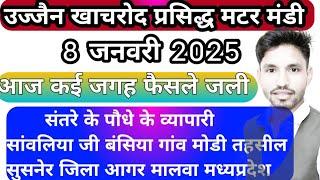 Matar mandi Khachrod | मटर मंडी खाचरोद | 8 जनवरी 2025 KhachrodMandibhav