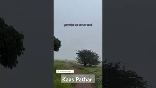 Kaas Pathar SATARA📍..