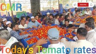 Today's Tomato rates at CMR Mandi, Kolar Karnataka 09 january 25