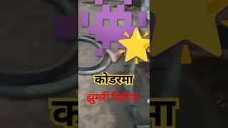 मशाल जुलूस निकाला जाएगा